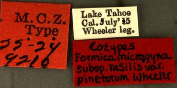 Media type: image;   Entomology 9210 Aspect: labels